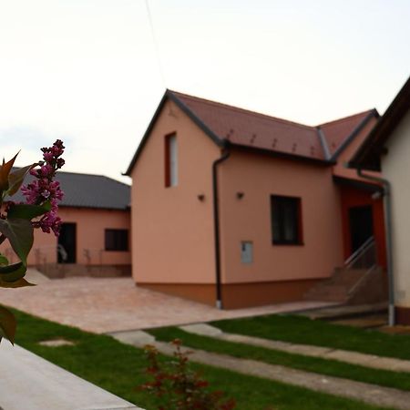 Agroturizam Opg Jakopovic Caglin Exteriör bild