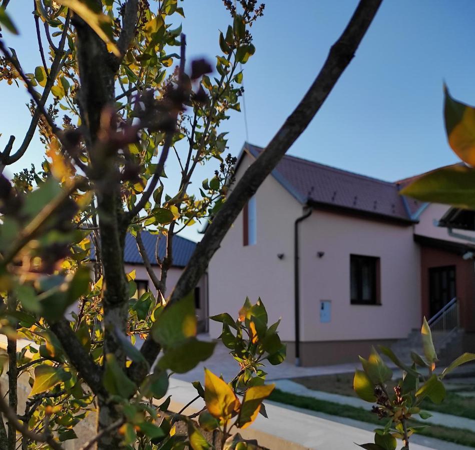 Agroturizam Opg Jakopovic Caglin Exteriör bild